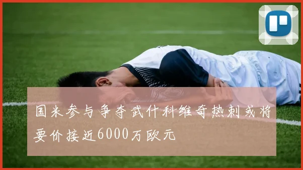 国米参与争夺武什科维奇热刺或将要价接近6000万欧元