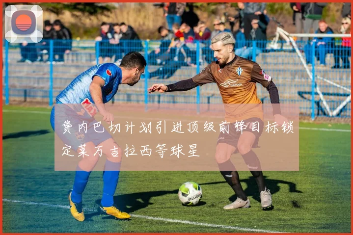 费内巴切计划引进顶级前锋目标锁定莱万吉拉西等球星